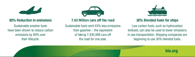 biofuel diversity